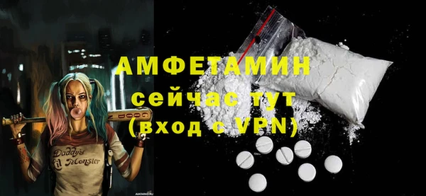 индика Вязники