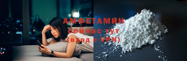 индика Вязники